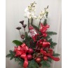 Centro navideño con orquídea