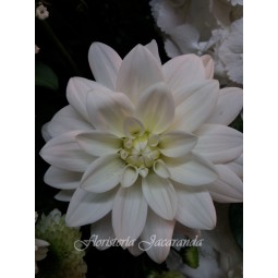 Centro de hortensias