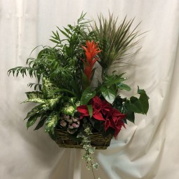 Cesta de plantas con toque navideño