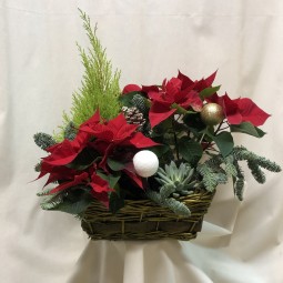 Cesta de poinsetias y plantas