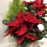 Cesta de poinsetias y plantas