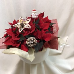 Centro bajo de barro con poinsetias