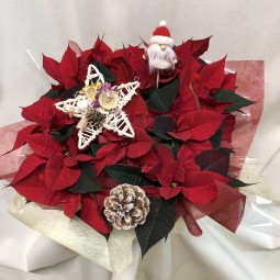 Centro bajo de barro con poinsetias