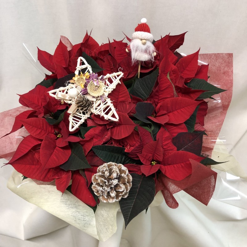 Centro bajo de barro con poinsetias