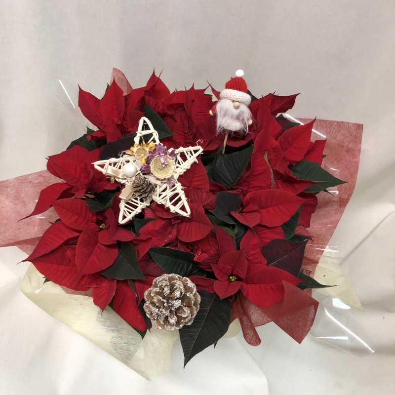 Centro bajo de barro con poinsetias