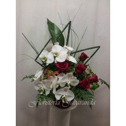 Centro de orquídeas