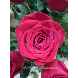 Centro de rosas rojas y cymbidium (S.Valentín)