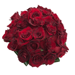 Bouquet de rosas (S.Valentín)