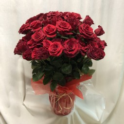 Florero Grande de rosas rojas, San Valentín