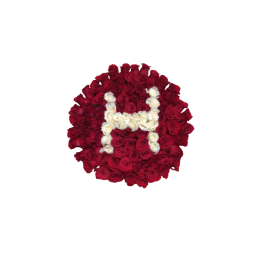 Cesta de rosas rojas personalizado