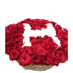 Cesta de rosas rojas personalizado