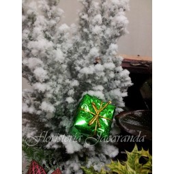 Baúl Navideño de plantas