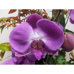 Centro de orquídeas y rosas