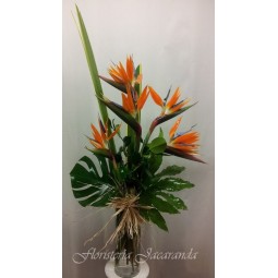 Florero con strelizias